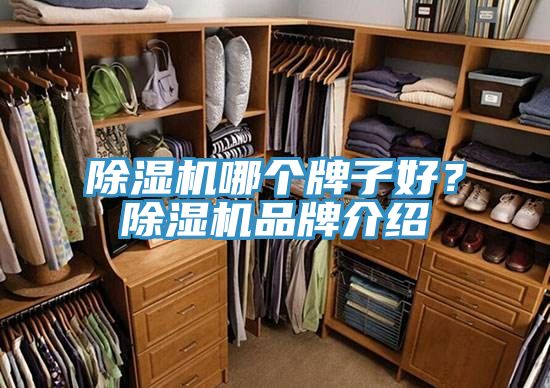 粉色应用黄色软件哪个牌子好？粉色应用黄色软件品牌介绍