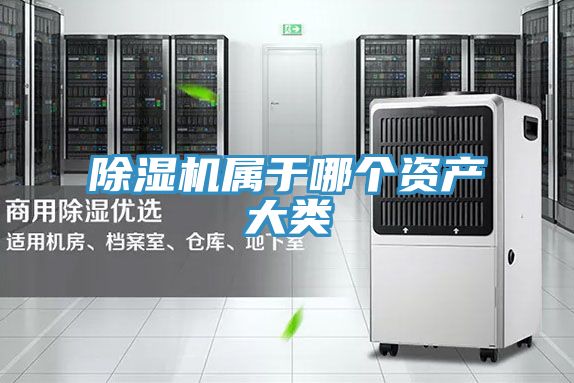 粉色应用黄色软件属于哪个资产大类