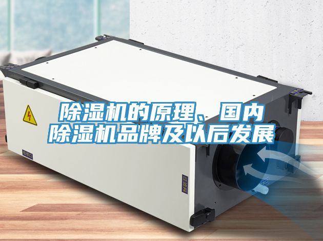 粉色应用黄色软件的原理、国内粉色应用黄色软件品牌及以后发展