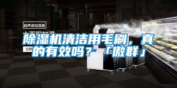 粉色应用黄色软件清洁用毛刷，真的有效吗？「傲群」