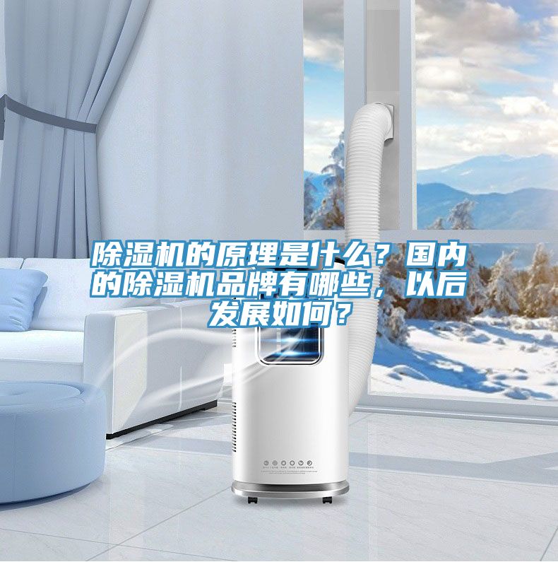 粉色应用黄色软件的原理是什么？国内的粉色应用黄色软件品牌有哪些，以后发展如何？