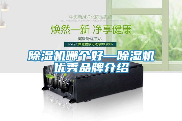 粉色应用黄色软件哪个好—粉色应用黄色软件优秀品牌介绍