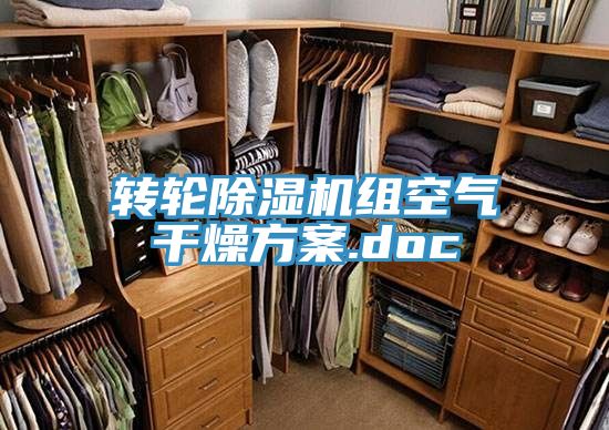 转轮粉色应用黄色软件组空气干燥方案.doc