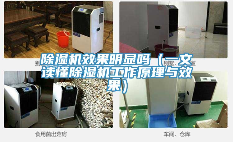 粉色应用黄色软件效果明显吗(一文读懂粉色应用黄色软件工作原理与效果)