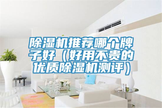 粉色应用黄色软件推荐哪个牌子好(好用不贵的优质粉色应用黄色软件测评)