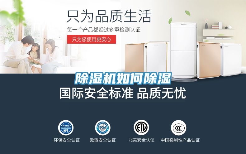 粉色应用黄色软件如何除湿