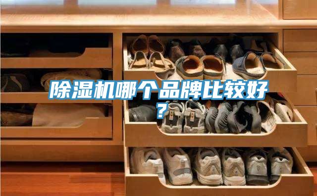 粉色应用黄色软件哪个品牌比较好？