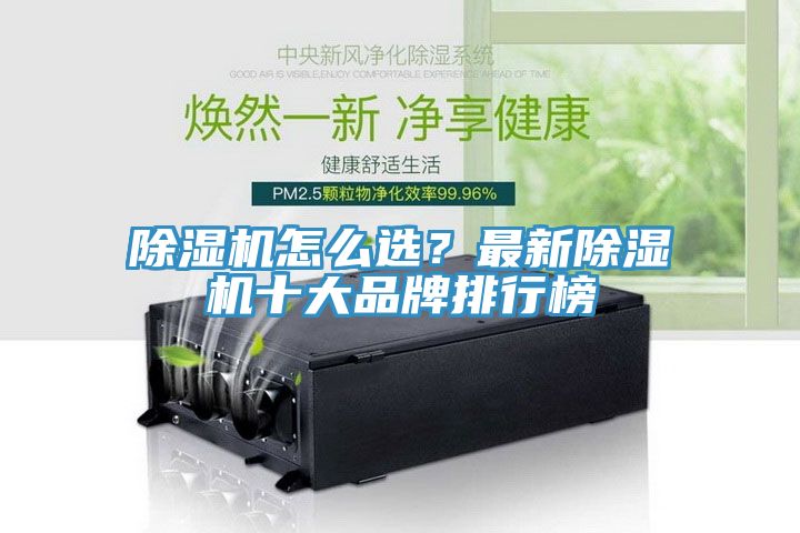 粉色应用黄色软件怎么选？最新粉色应用黄色软件十大品牌排行榜
