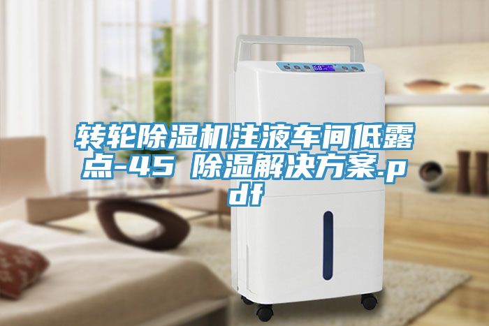 转轮粉色应用黄色软件注液车间低露点-45℃除湿解决方案.pdf