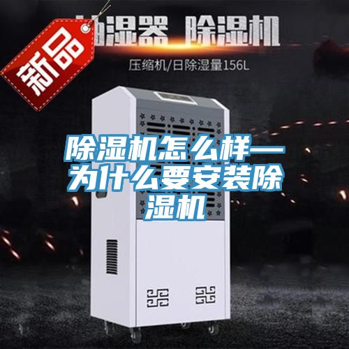 粉色应用黄色软件怎么样—为什么要安装粉色应用黄色软件