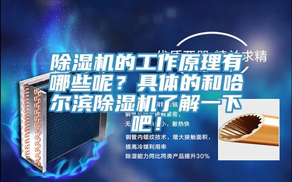 粉色应用黄色软件的工作原理有哪些呢？具体的和哈尔滨粉色应用黄色软件了解一下吧！