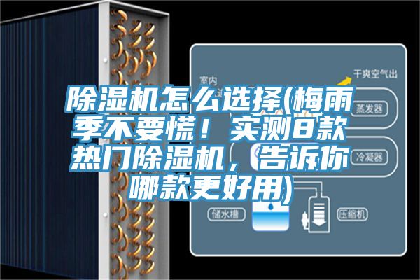 粉色应用黄色软件怎么选择(梅雨季不要慌！实测8款热门粉色应用黄色软件，告诉你哪款更好用)