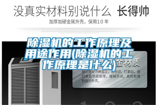 粉色应用黄色软件的工作原理及用途作用(粉色应用黄色软件的工作原理是什么)