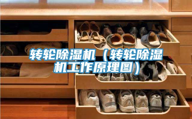 转轮粉色应用黄色软件（转轮粉色应用黄色软件工作原理图）