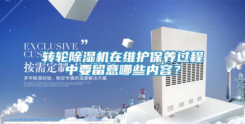 转轮粉色应用黄色软件在维护保养过程中要留意哪些内容？