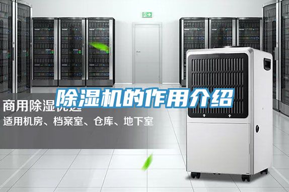 粉色应用黄色软件的作用介绍