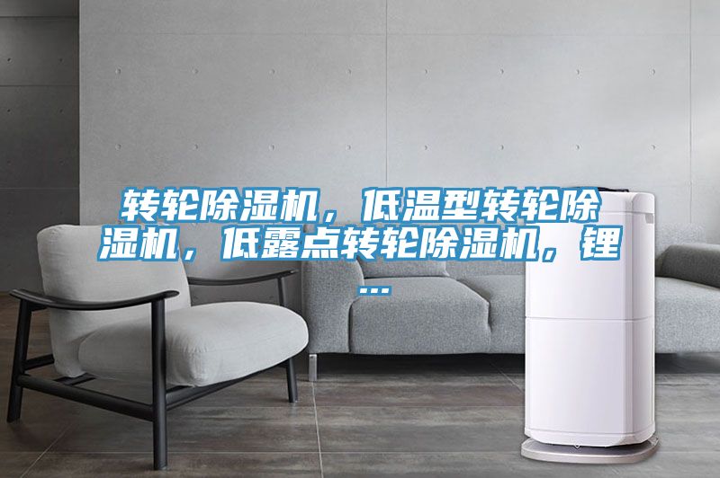 转轮粉色应用黄色软件，低温型转轮粉色应用黄色软件，低露点转轮粉色应用黄色软件，锂 ...