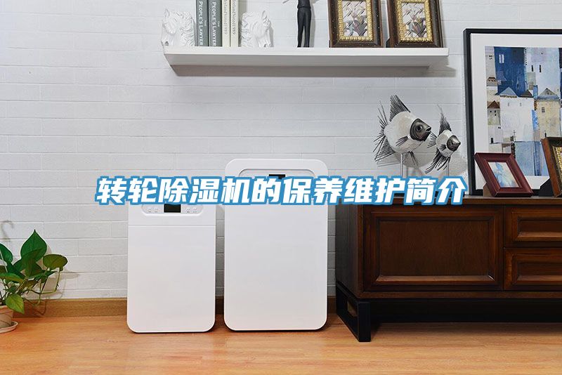 转轮粉色应用黄色软件的保养维护简介