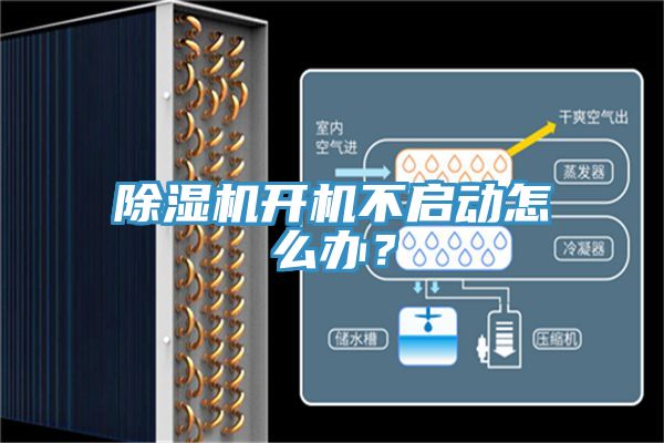 粉色应用黄色软件开机不启动怎么办？